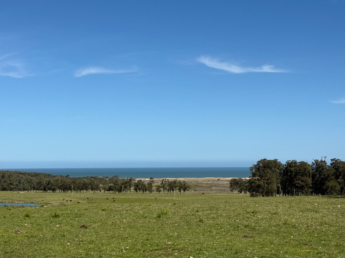 Corps de ferme à La Paloma, Rocha, Uruguay 2 - 16299230