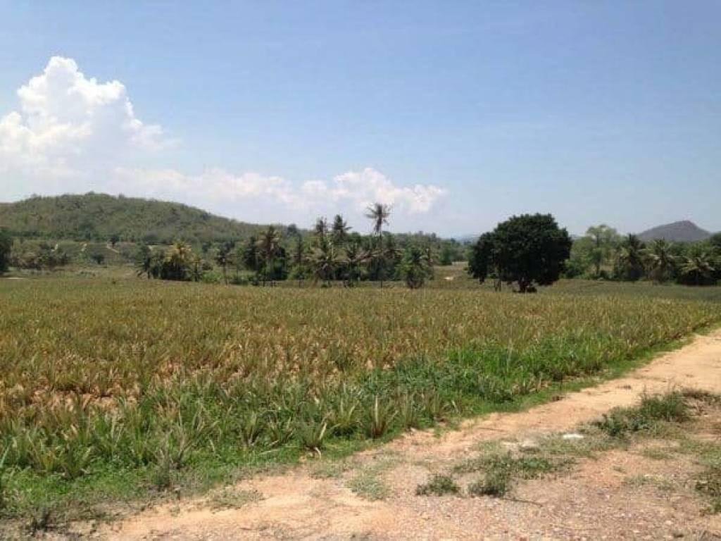 16 Rai of Beautiful View Land very Near Banyan Golf Club
