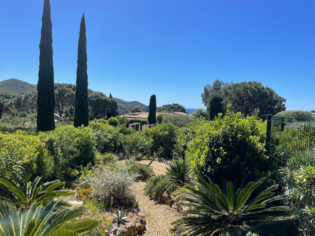 Apartment in La Croix-Valmer, Provence-Alpes-Côte d'Azur, France 5 - 16296946