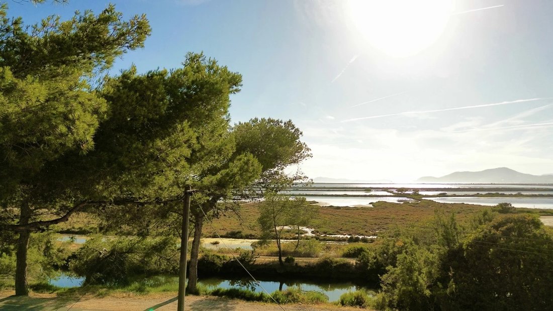 Terreno a Hyères, Provenza-Alpi-Costa Azzurra, Francia 5 - 16296578