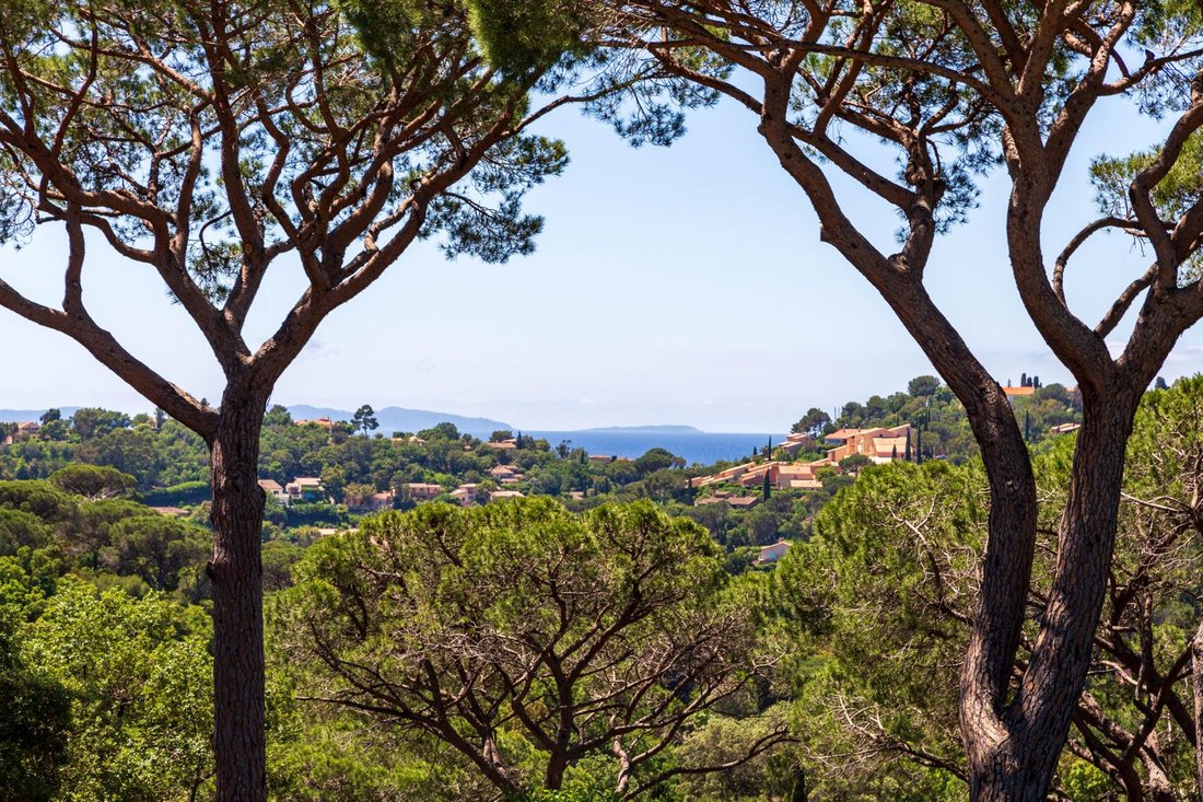 Villa in La Croix-Valmer, Provence-Alpes-Côte d'Azur, France 4 - 16297160