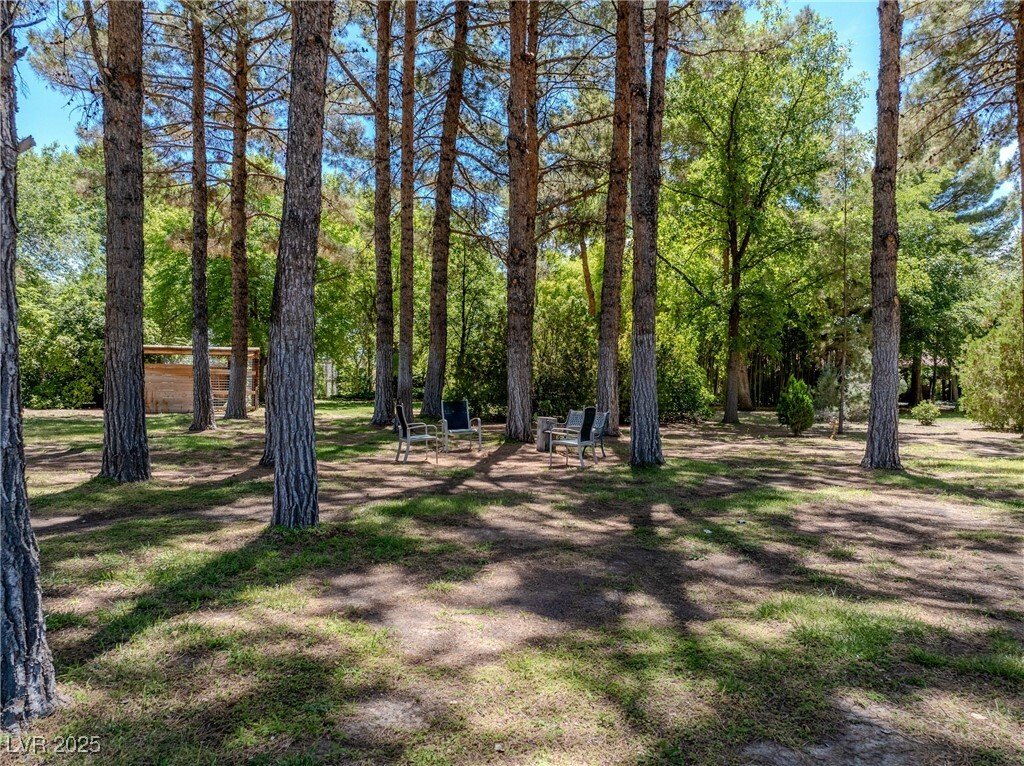 House in Pahrump, Nevada, United States 5 - 16300302