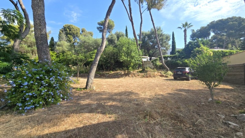 Land in Centre Ville, Carqueiranne, France 2 - 16296828