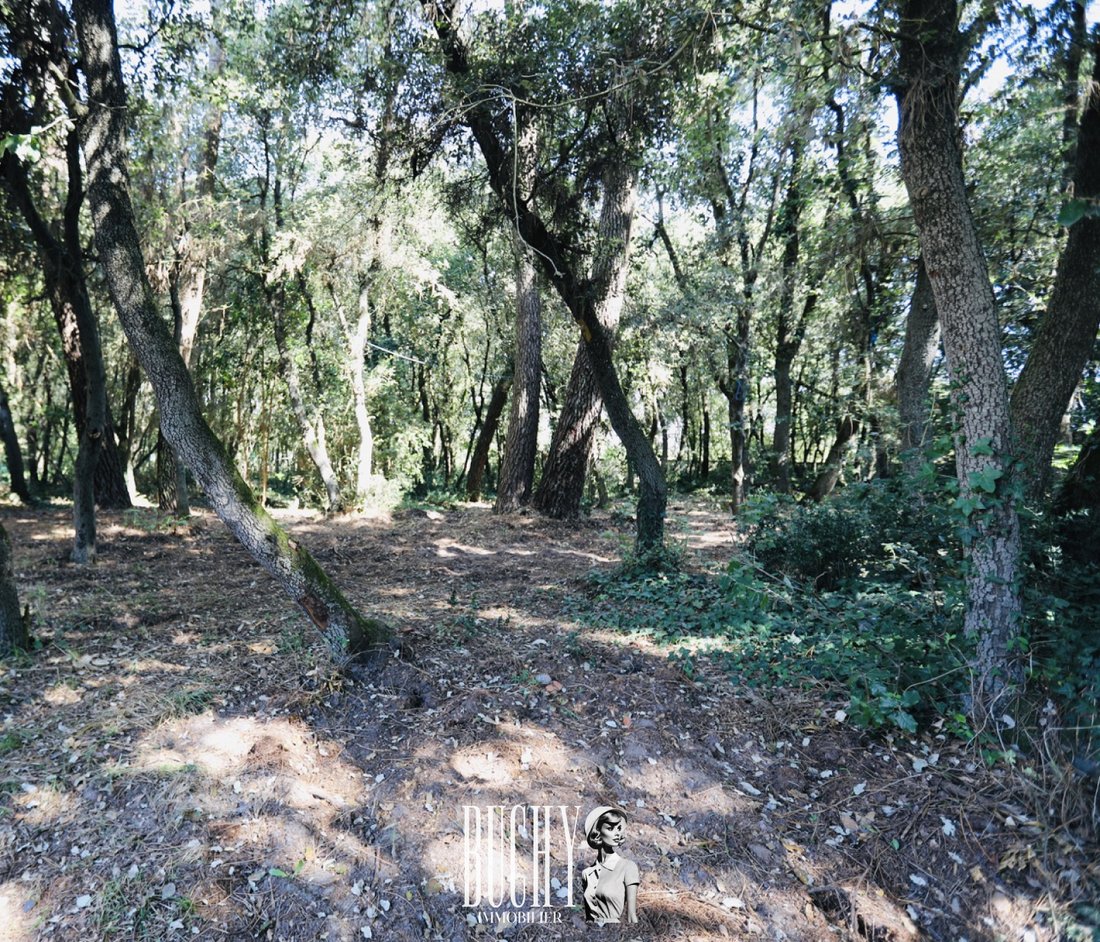 Land in Olonne-sur-Mer, Les Sables-d'Olonne, France 1 - 16297225