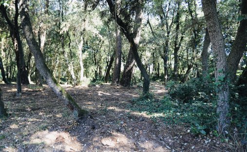 Terreno en Olonne-sur-Mer, Les Sables-d'Olonne, Francia 1