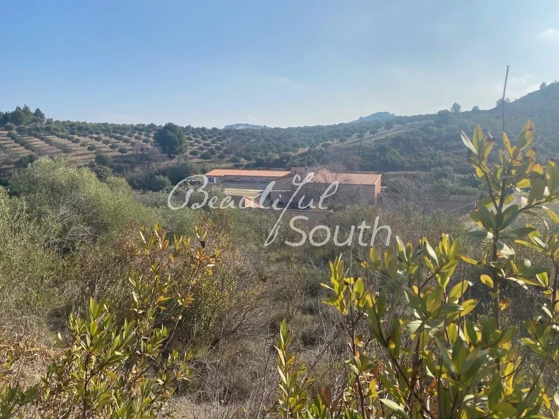 Cases-de-Pene, Occitania, France 2 - 16307049
