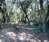 Land in Olonne-sur-Mer, Les Sables-d'Olonne, France 4 - 16297225