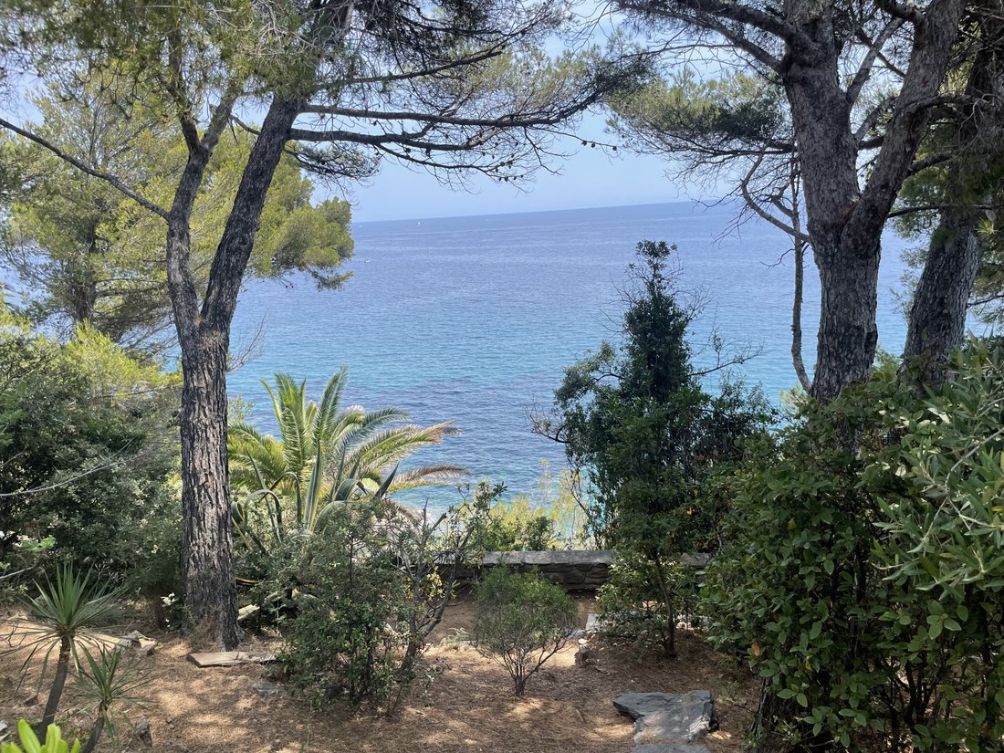 Estate in La Croix-Valmer, Provence-Alpes-Côte d'Azur, France 2 - 16296830