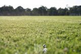 Land in Olonne-sur-Mer, Les Sables-d'Olonne, France 4 - 16297863