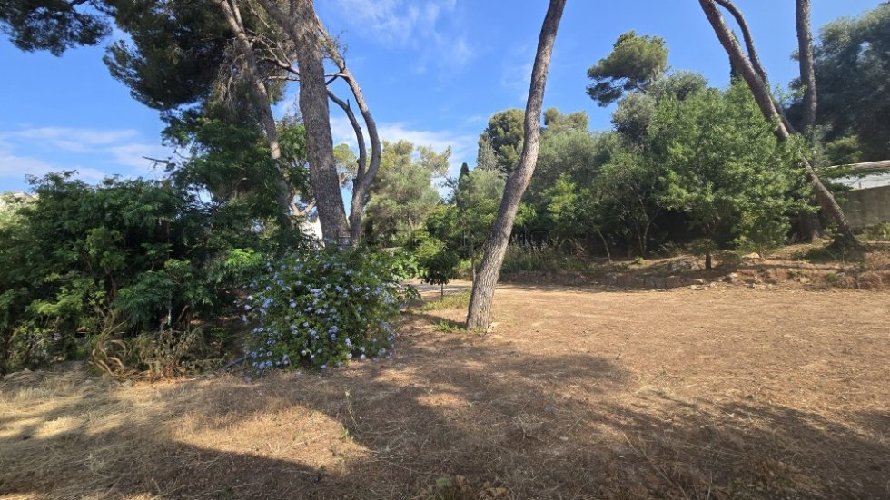 Villa in Centre Ville, Carqueiranne, France 4 - 16296851