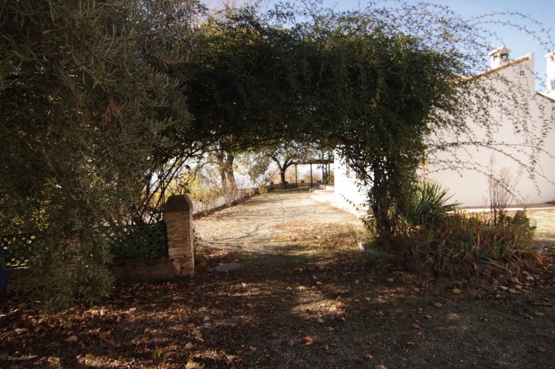 Country House in El Fargue, Albaicin, Granada 5 - 16307105