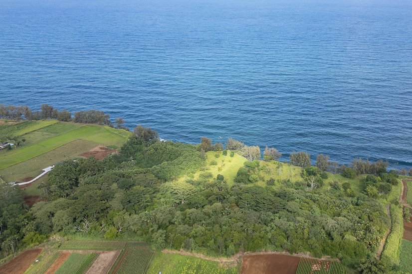 Land in Pepeekeo, Hawaii, United States 1 - 16306566