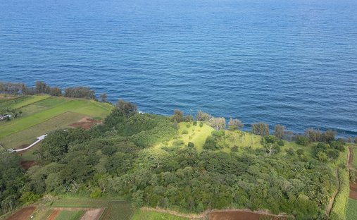 Land in Pepeekeo, Hawaii, United States 1