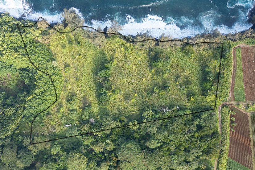 Land in Pepeekeo, Hawaii, United States 2 - 16306566