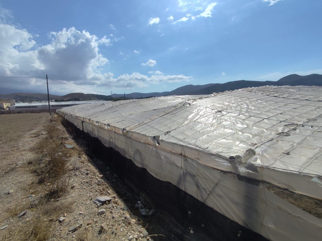 Land in Berja, Andalusia, Spain 1 - 16305840