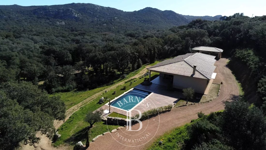 Villa in Porto-Vecchio, Corsica, France 1 - 16296389