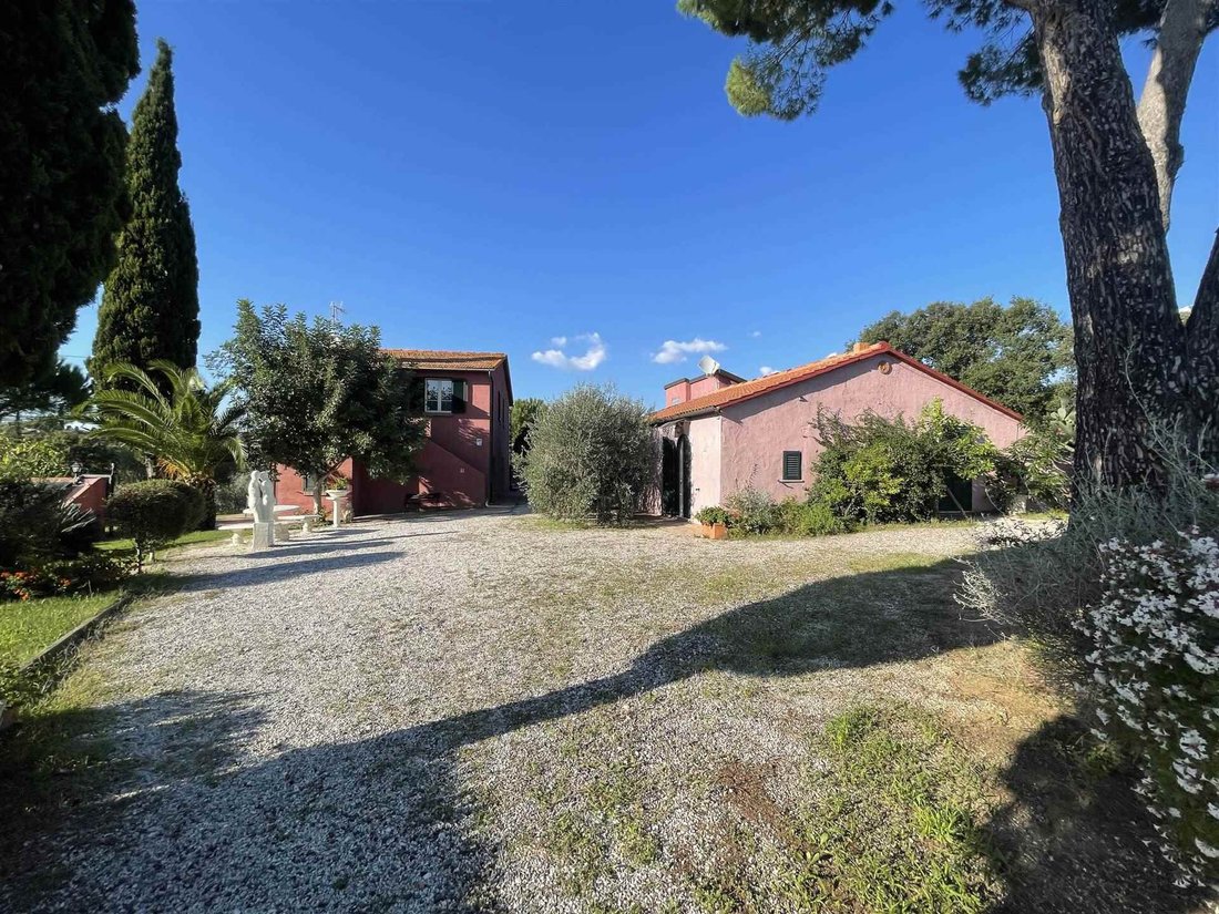 Cecina Centro, Cecina, Tuscany 5 - 16305848