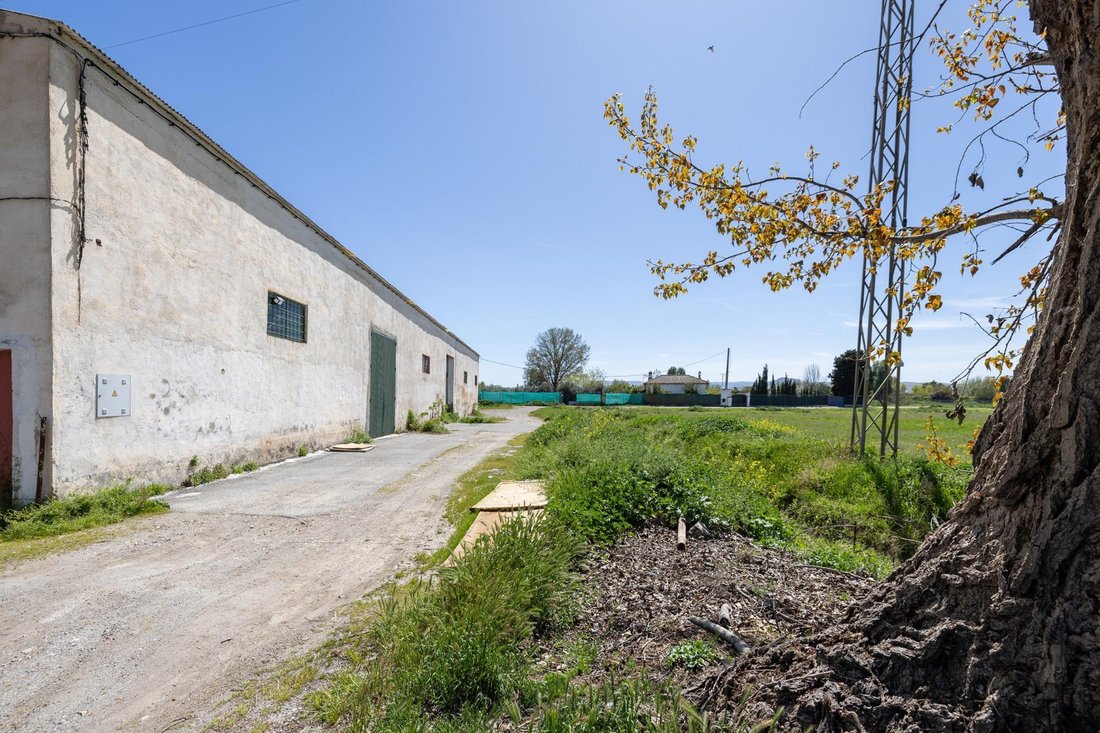 Country House in Ronda, Granada, Spain 3 - 16308542