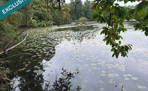 At The Gates Of Vitré Castle Of 12200 M² Land Of More Than 5 Ha