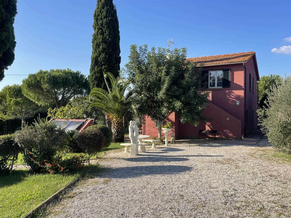 Cecina Centro, Cecina, Tuscany 1 - 16305848