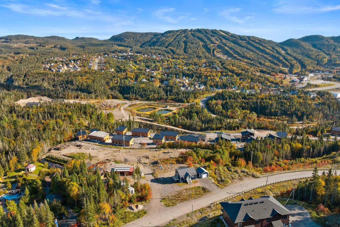 Land in Saint-David-de-Falardeau, Quebec, Canada 2 - 15956723