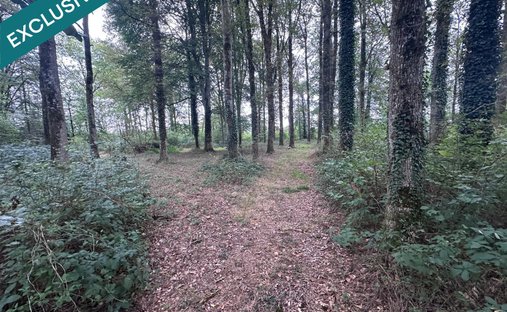 At The Gates Of Vitré Castle Of 12200 M² Land Of More Than 5 Ha