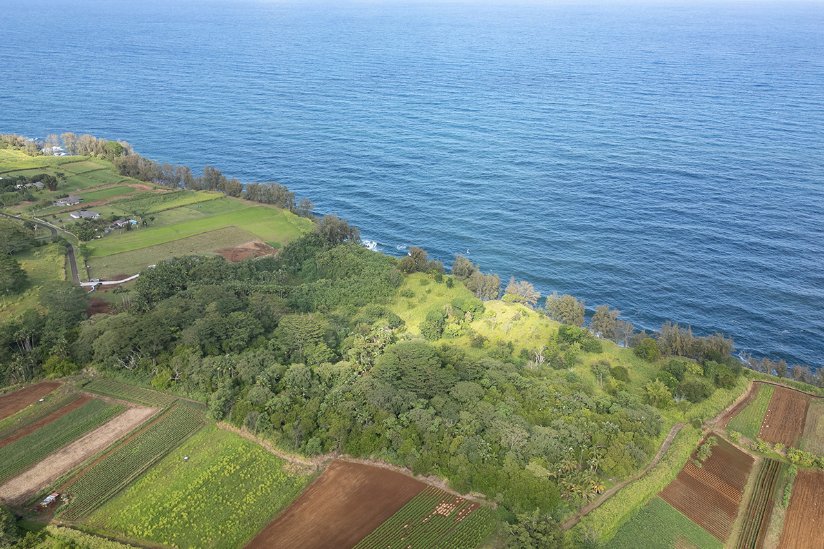 Land in Pepeekeo, Hawaii, United States 5 - 16306566