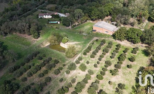 Castle for Sale in Castelnaudary, Occitanie, France