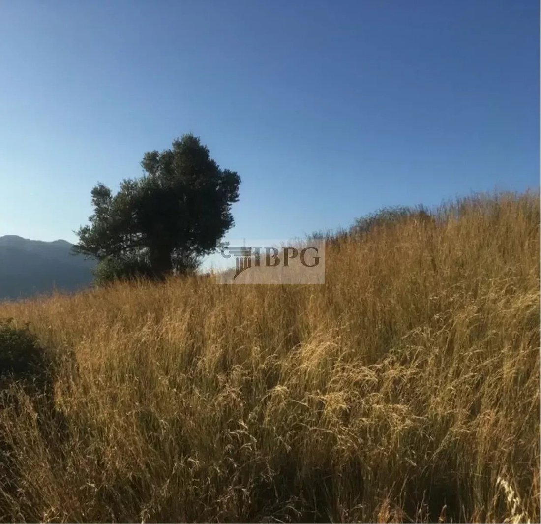 Land in Amarynthos, Thessaly and Central Greece, Greece 1 - 16297192