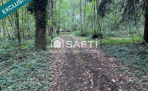 At The Gates Of Vitré Castle Of 12200 M² Land Of More Than 5 Ha