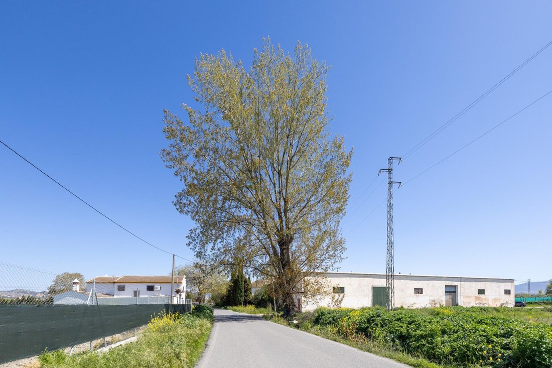 Country House in Ronda, Granada, Spain 5 - 16308542