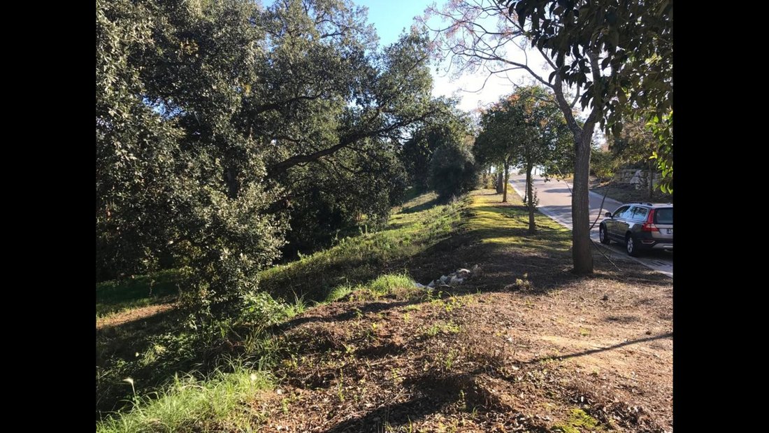 Land in Sotogrande, San Roque, Andalusia 5 - 14624595