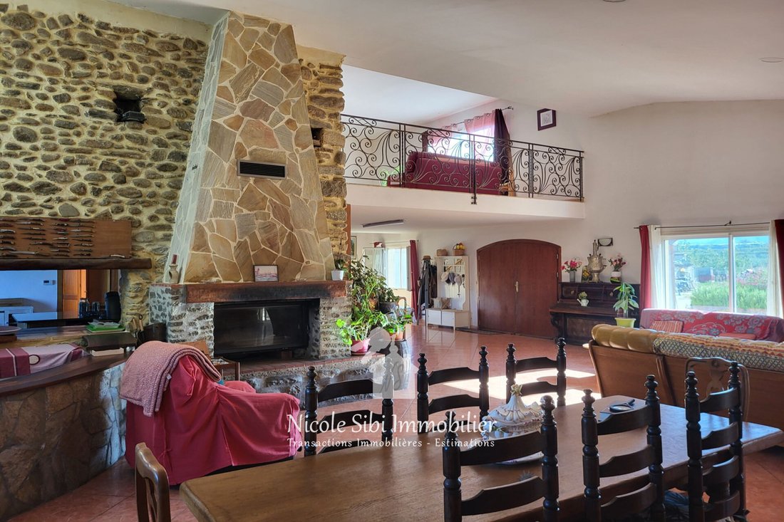 Villa in Finestret, Occitania, France 3 - 16307318
