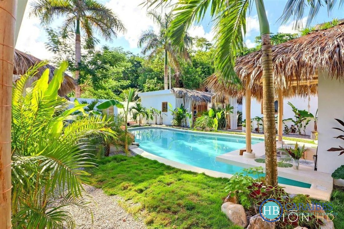 Las Terrenas, Samaná Province, Dominican Republic 5 - 16308445