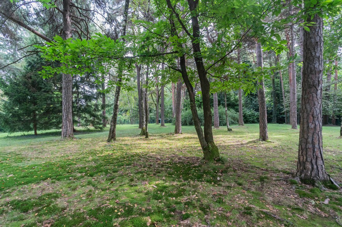 Villa a Venegono Superiore, Lombardia, Italia 5 - 16309247