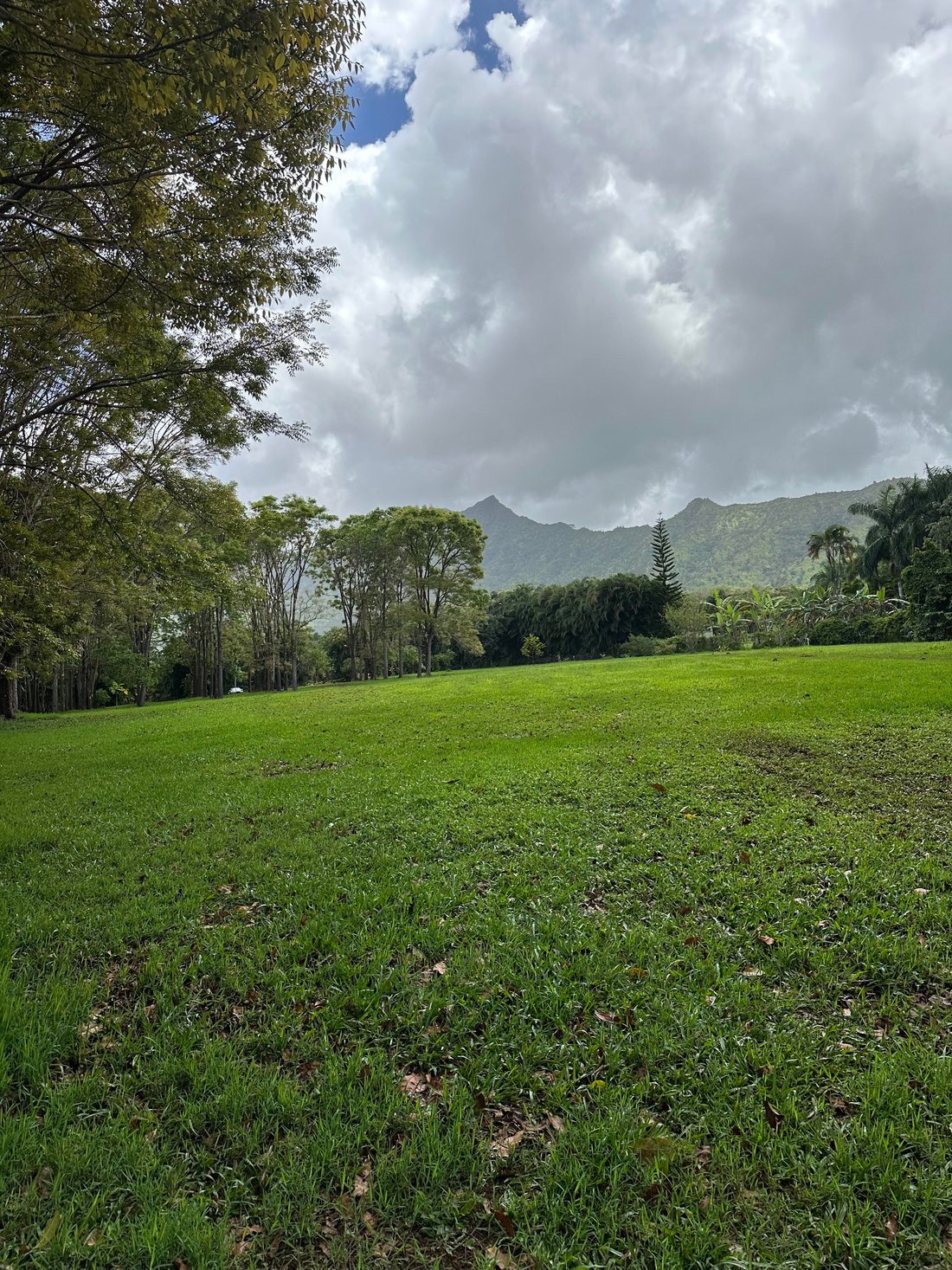 Land in Kilauea, Hawaii, United States 1 - 16312506