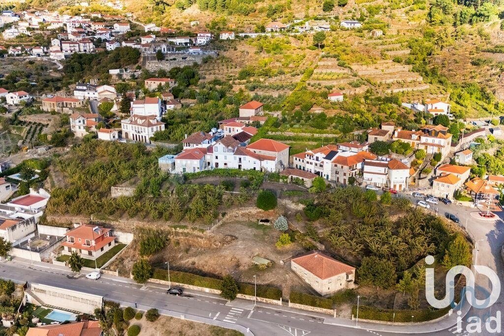 Farm Ranch in Sao Martinho de Mouros, Viseu District, Portugal 5 - 16314289