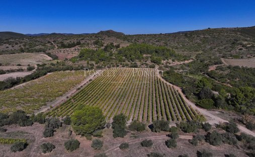 Castle for Sale in Pézenas, Occitanie, France