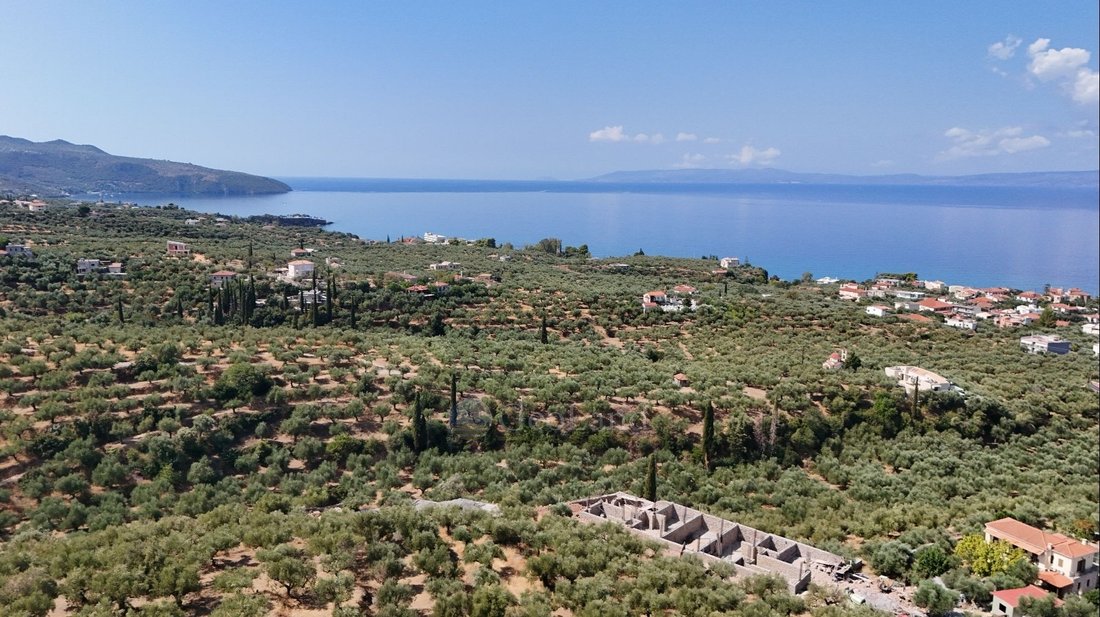 Villa in Avia, Peloponnese, Western Greece and the Ionian, Greece 3 - 16316107