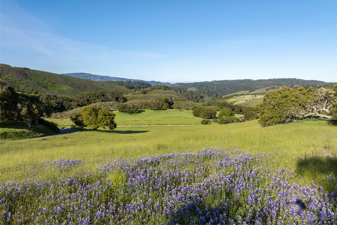 Terreno a Carmel-by-the-Sea, California, Stati Uniti 1 - 16312007