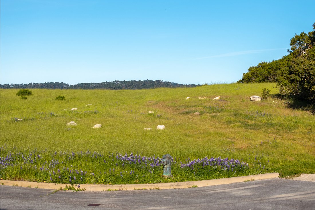 Terreno a Carmel-by-the-Sea, California, Stati Uniti 3 - 16312007