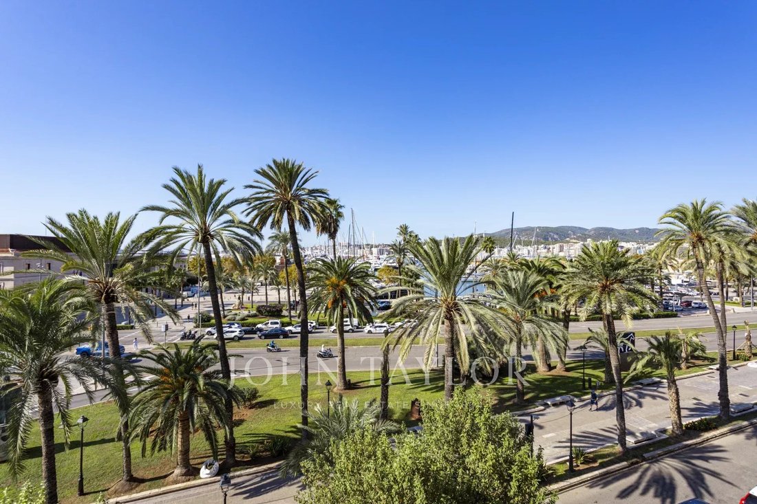 Apartment in Palma, Balearic Islands, Spain 1 - 16309667