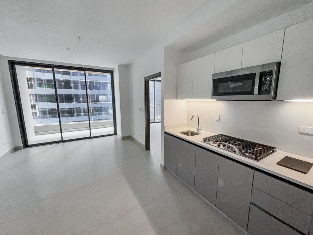 Appartement à Saint-Domingue, District national, République dominicaine 4 - 16313198