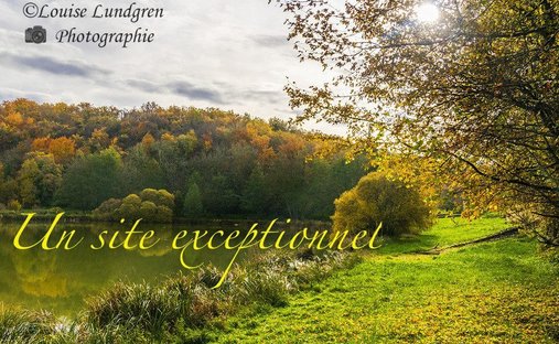 Castle for Sale in Brantôme en Périgord, Nouvelle-Aquitaine, France