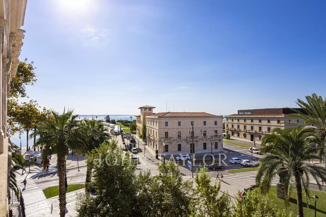 Apartment in Palma, Balearic Islands, Spain 3 - 16309667