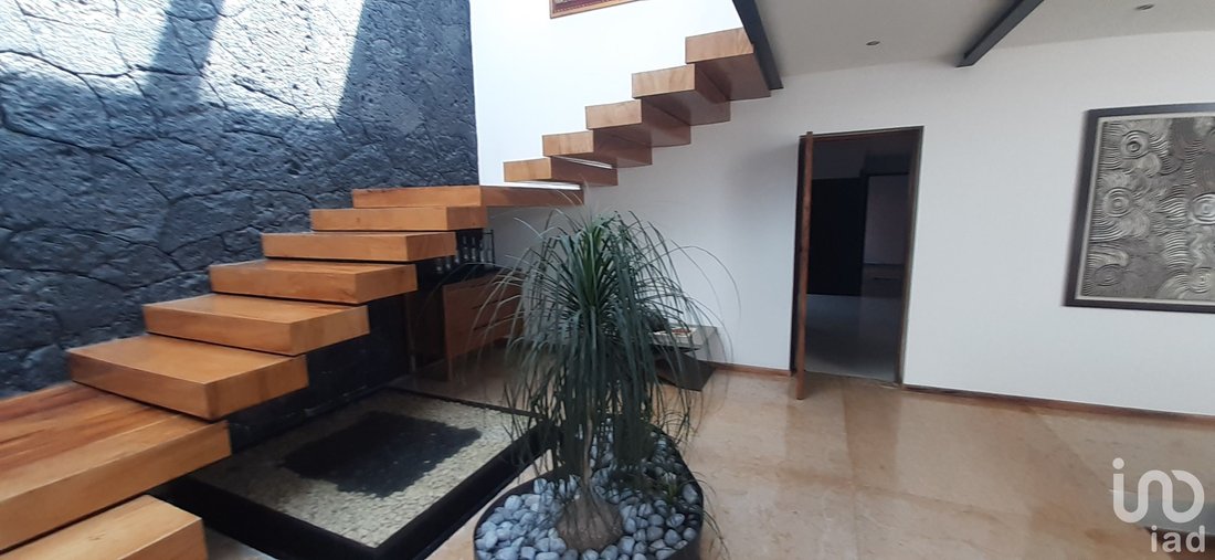 House in Mexico 4 - 16316143