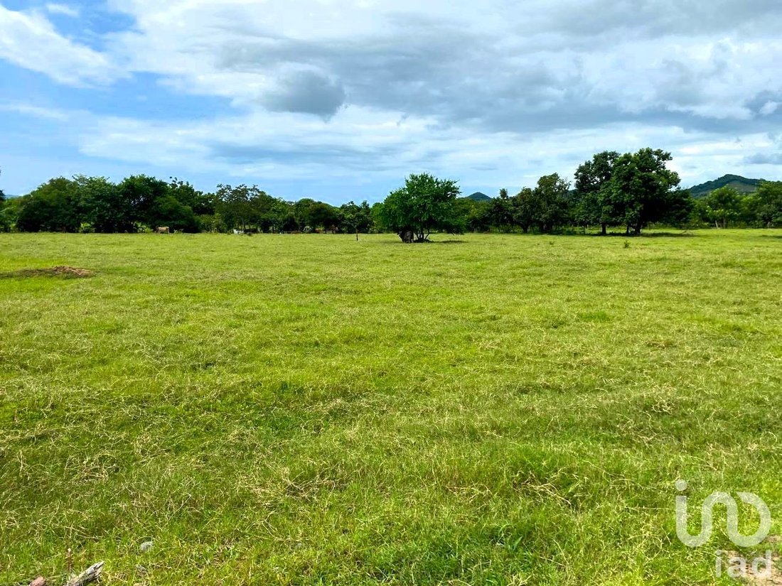 Land in El Capomo, Nayarit, Mexico 2 - 16316144