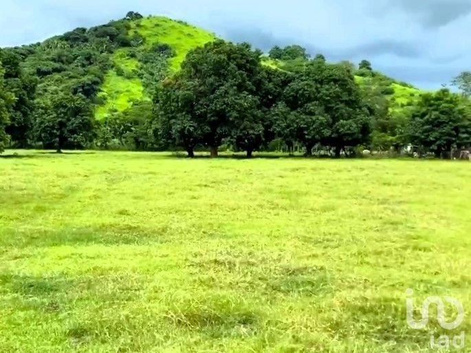Land in El Capomo, Nayarit, Mexico 5 - 16316144