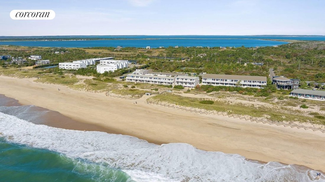Co Op in Amagansett, New York, United States 4 - 16279597