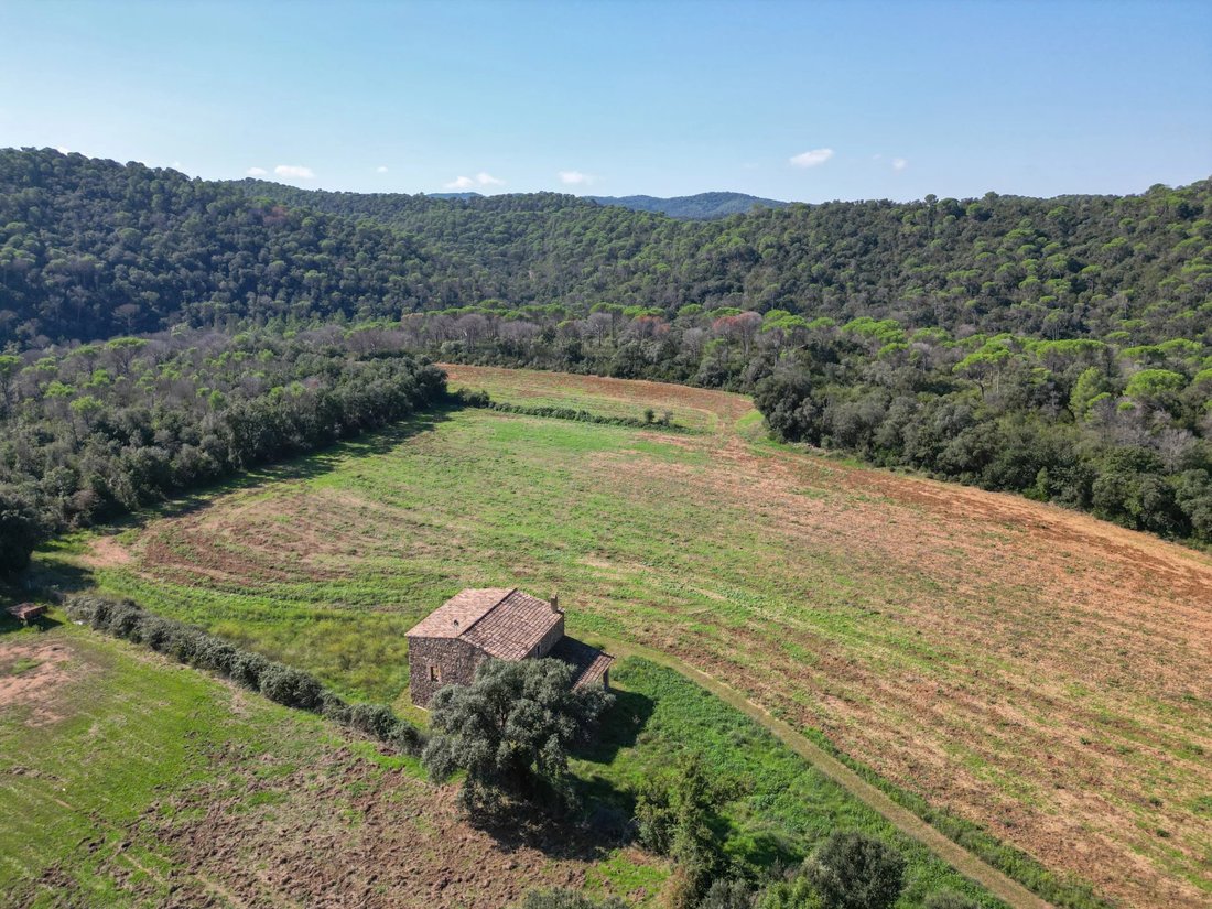 Country House in Cruilles, Monells i Sant Sadurni de l'Heura, Catalonia, Spain 5 - 16313289